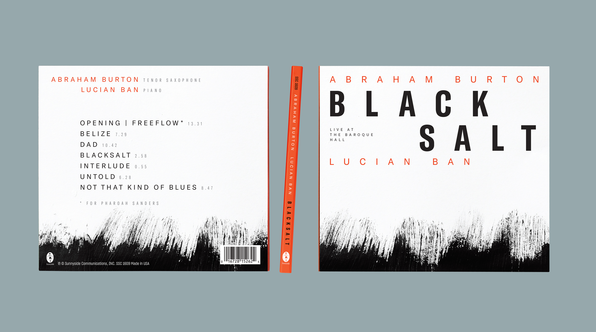 Black-salt-front-and-back-cover-blue-ivana-djukic