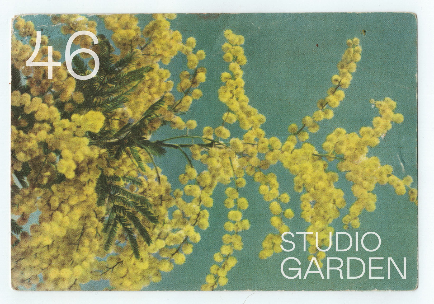 46-garden-studio-ivana-djukic-florist